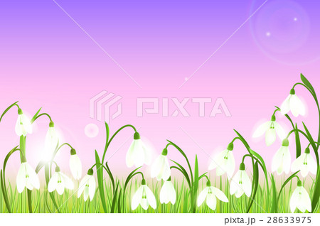 Spring background with snowdrop flowers, green 28633975
