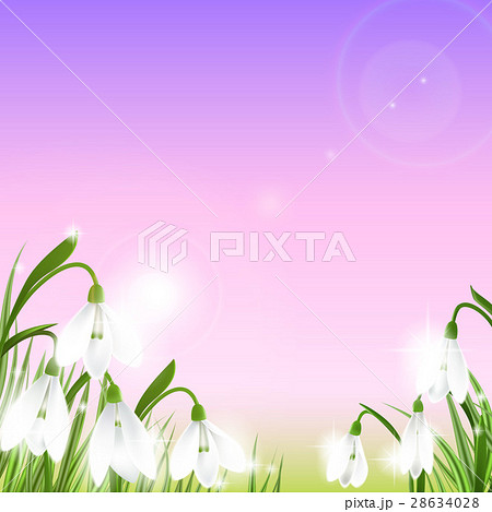 Spring background with snowdrop flowers, green 28634028