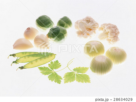 野菜いろいろ 28634029