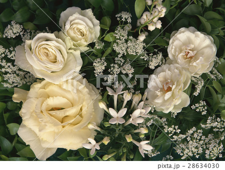 花いろいろ 28634030