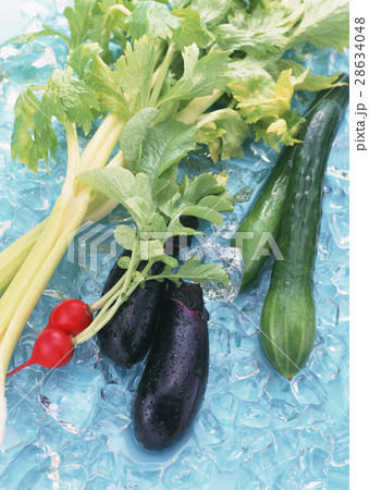 野菜いろいろ 28634048