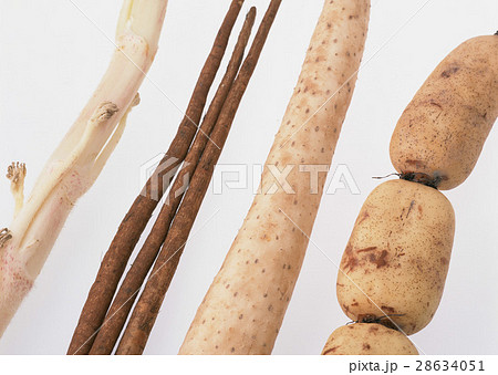 野菜いろいろ 28634051