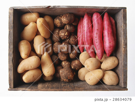 イモ イモ 28634079