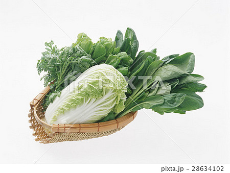 野菜いろいろ 28634102