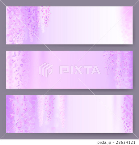 Spring background with blooming wisteria Spring background with blooming wisteria 28634121