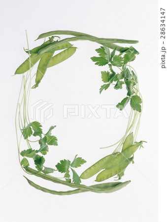 野菜いろいろ 野菜いろいろ 28634147