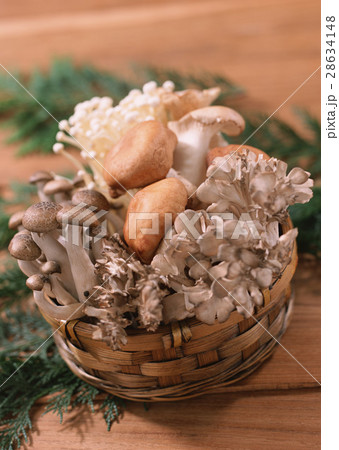 キノコ 28634148