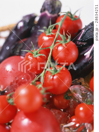 トマトとナス 28634251