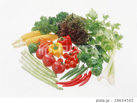 野菜いろいろ 28634505