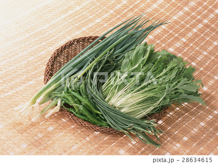 京野菜 28634615