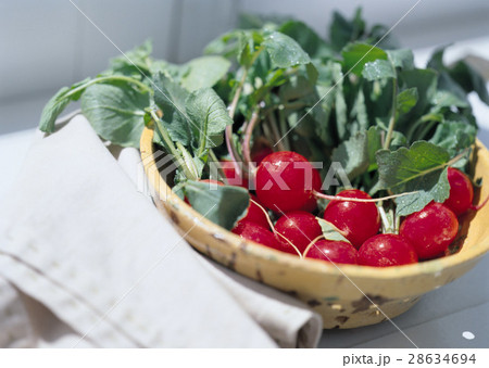 ラディッシュ 28634694