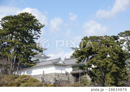 小田原城址公園 28634879