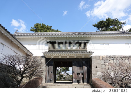 小田原城址公園 28634882