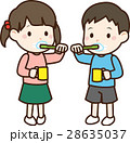 歯を磨く子供 28635037