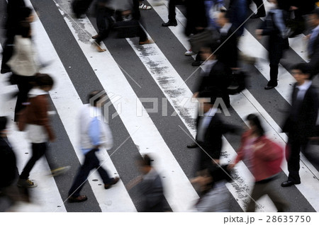 都会の人々　横断歩道 28635750