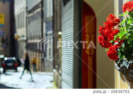 Flowers on the street in summer Flowers on the street in summer 28636701