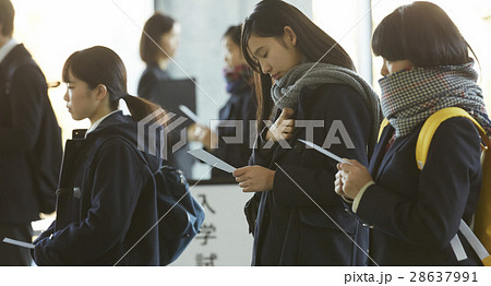 試験会場 受験票を確認する学生 試験会場 受験票を確認する学生 28637991