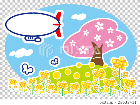 櫻花和油菜花和飛艇 28638411