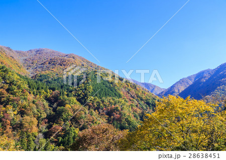世界遺産　白川郷の紅葉 28638451