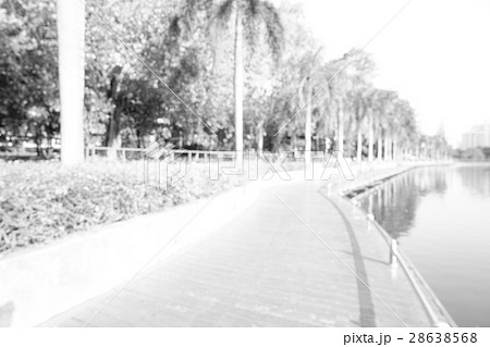 Defocused image of walkway in the urban park Defocused image of walkway in the urban park 28638568