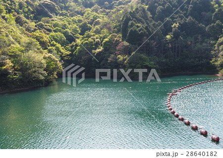 有田ダムとダム湖 有田ダムとダム湖 28640182