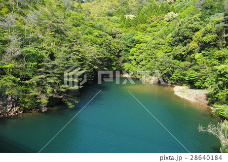 有田ダムとダム湖 有田ダムとダム湖 28640184