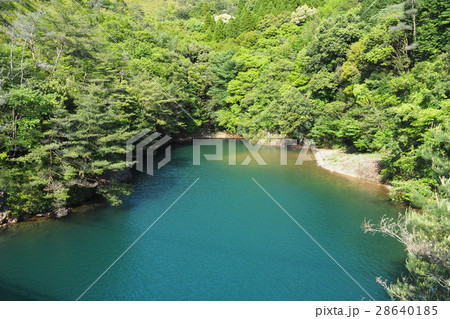有田ダムとダム湖 有田ダムとダム湖 28640185