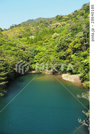 有田ダムとダム湖 28640186