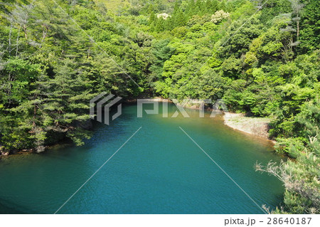 有田ダムとダム湖 有田ダムとダム湖 28640187