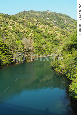 有田ダムとダム湖 有田ダムとダム湖 28640192