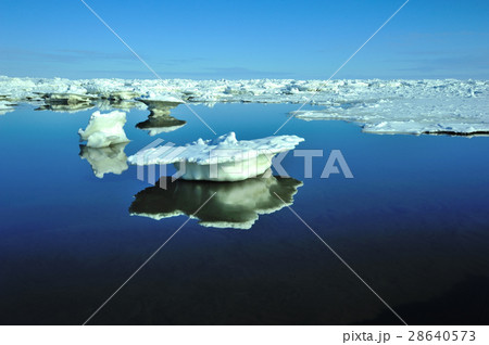 流氷の春 流氷の春 28640573