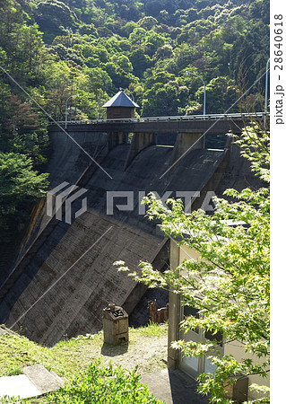 有田ダムとダム湖 有田ダムとダム湖 28640618