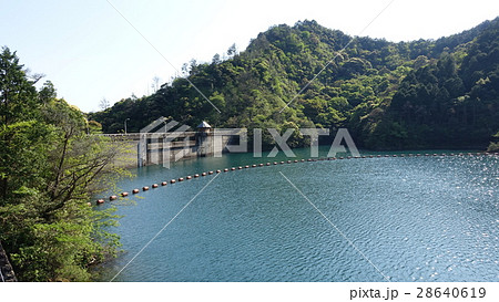 有田ダムとダム湖 有田ダムとダム湖 28640619
