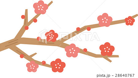 梅の花 28640767