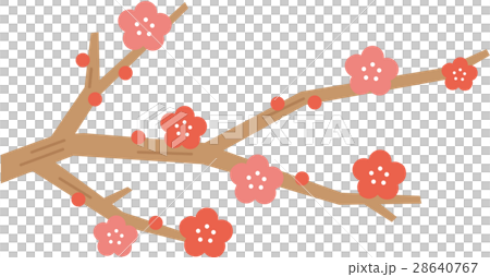 梅花 28640767