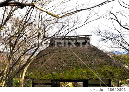 落葉の常寂光寺仁王門 落葉の常寂光寺仁王門 28640808
