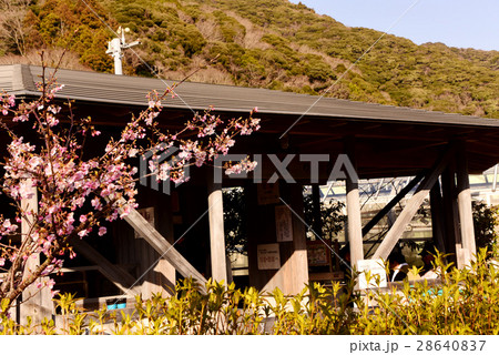 道の駅　湯の花　足湯 28640837