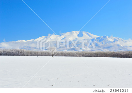 斜里岳冬景色 28641015