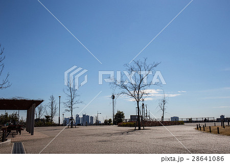 丘の上の公園 丘の上の公園 28641086