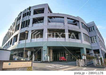 東京都中央卸売市場世田谷市場 28641176