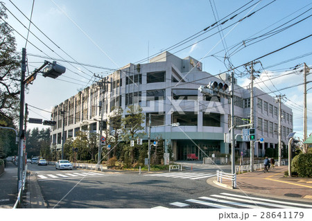 東京都中央卸売市場世田谷市場 東京都中央卸売市場世田谷市場 28641179