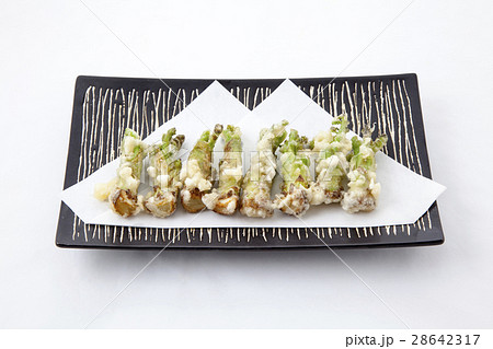 タラの芽の天ぷら 28642317