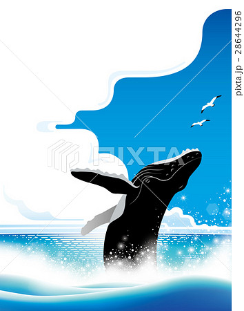 ジャンプするクジラ のイラスト素材