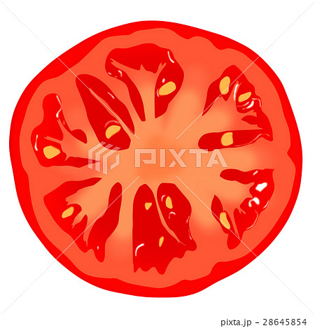 トマト 断面のイラスト素材 28645854 Pixta