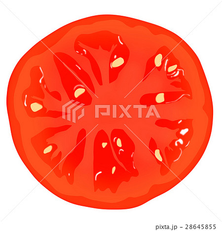 トマト　断面 28645855