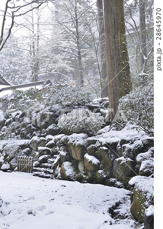 【福井県】雪の永平寺 28645970