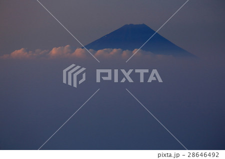 八ヶ岳連峰・編笠山から見る未明の富士山 八ヶ岳連峰・編笠山から見る未明の富士山 28646492