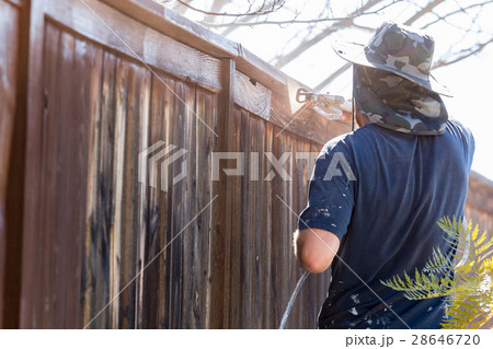 Professional Painter Spraying Yard Fence with Stain Professional Painter Spraying Yard Fence with Stain 28646720