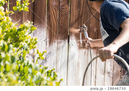 Professional Painter Spraying Yard Fence with Stain Professional Painter Spraying Yard Fence with Stain 28646730