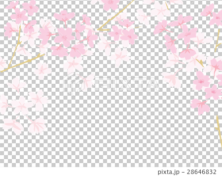 櫻花與分支機構框架背景 櫻花與分支機構框架背景 28646832